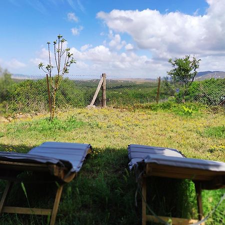 Complejo Rural Del Molino Dorado Villa Facinas Luaran gambar